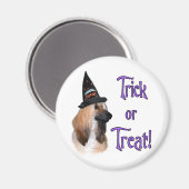 Aimant Trick afghan (Recto/Verso)