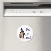 Aimant Trick afghan (In Situ (Lave-vaisselle))