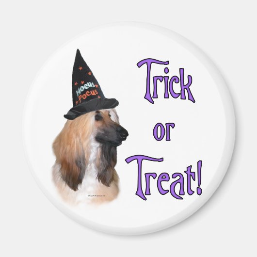 Aimant Trick afghan (Devant)