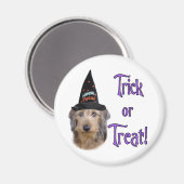 Aimant Trick Dachshund (fil) (Recto/Verso)