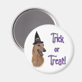 Aimant Trick gris (rouge) (Recto/Verso)