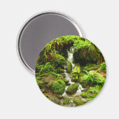 Aimant Trillium Falls (Recto/Verso)