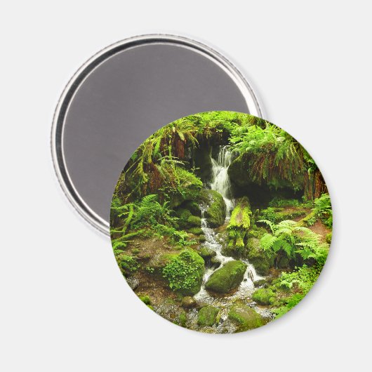 Aimant Trillium Falls (Recto/Verso)