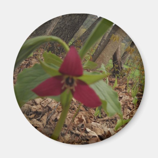 Aimant Trillium rouge (Devant)
