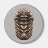 Aimant Trilobite (Devant)
