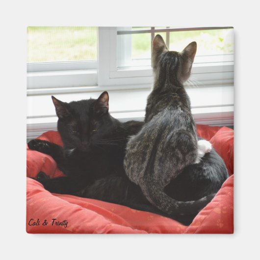 Aimant Trinity & Cali (Devant)