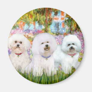 Aimant Trio de Bichon Frise - Jardin (VG)
