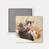 Aimant trio Kitten (Recto/Verso)