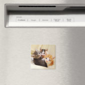 Aimant trio Kitten (In Situ (Lave-vaisselle))