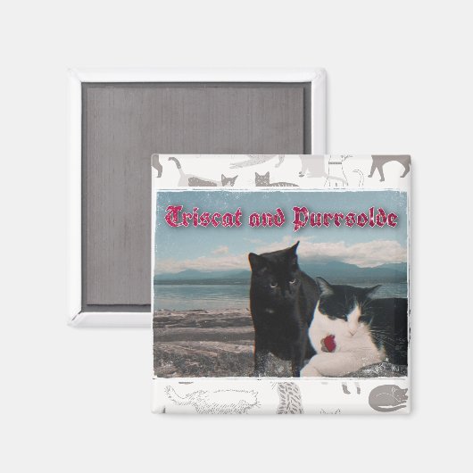 aimant Triscat et Purrsolde (Recto/Verso)