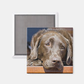 Aimant Triste chocolat Labrador (Recto/Verso)