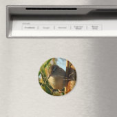 Aimant Troglodyte des marais B3 (In Situ (Lave-vaisselle))