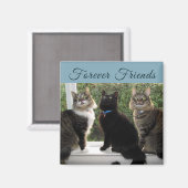 Aimant Trois amis de chat dans l'aimant de la fenêtre (Recto/Verso)