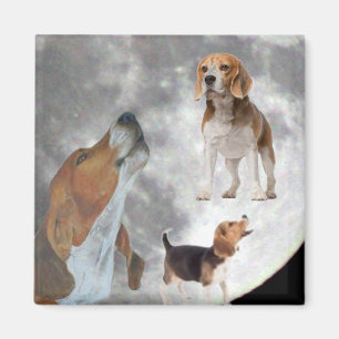 Aimant Trois beagles et l'aimant de lune