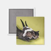 Aimant Trois chatons se serrant dans leurs bras (Recto/Verso)
