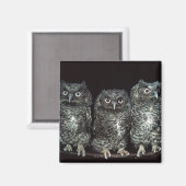 Aimant trois chouettes (Recto/Verso)