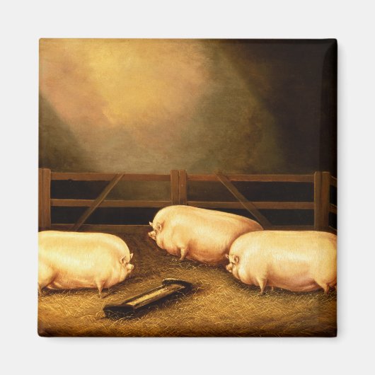 Aimant Trois Cochons à l'extérieur d'un Sty (Devant)