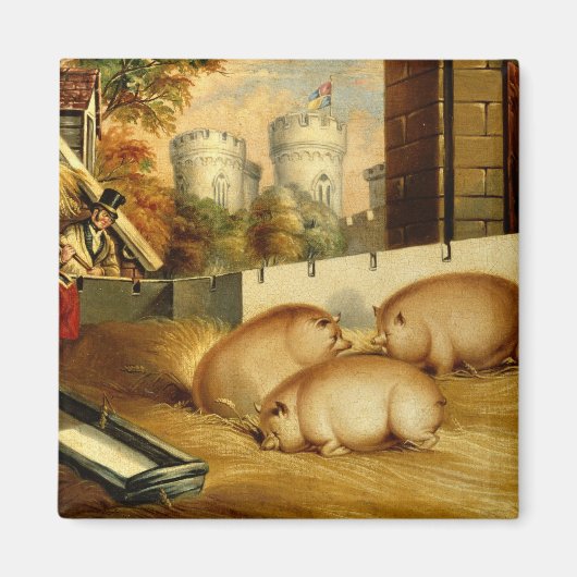 Aimant Trois cochons avec Château dans l'Arrière - plan (Devant)