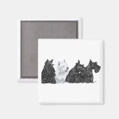 Aimant Trois Curious Scotties et un Westie (Recto/Verso)