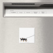 Aimant Trois Dobermans en laisse (In Situ (Lave-vaisselle))