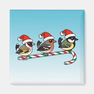 Aimant Trois Finches de Noël (UE)