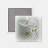 Aimant trois fleurs blanches (Recto/Verso)