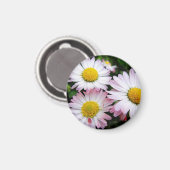 Aimant Trois marguerites rose et blanc (Recto/Verso)