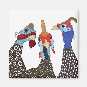 Aimant Trois mignons Oiseaux à tête molle de Guinée