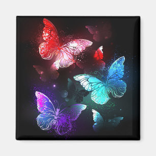 Aimant Trois papillons lumineux sur fond de nuit