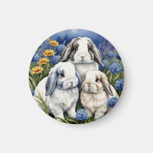 Aimant Trois petits lapins lapins de lapin de lop (Devant)