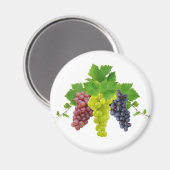 Aimant Trois raisins (Recto/Verso)