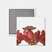 Aimant Trois tulipes rouges et un papillon monarque contr (Recto/Verso)