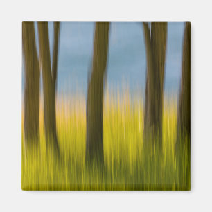 Aimant Troncs d'arbres et herbe   San Juan Islands, WA