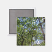 Aimant Trop d'arbres (Recto/Verso)