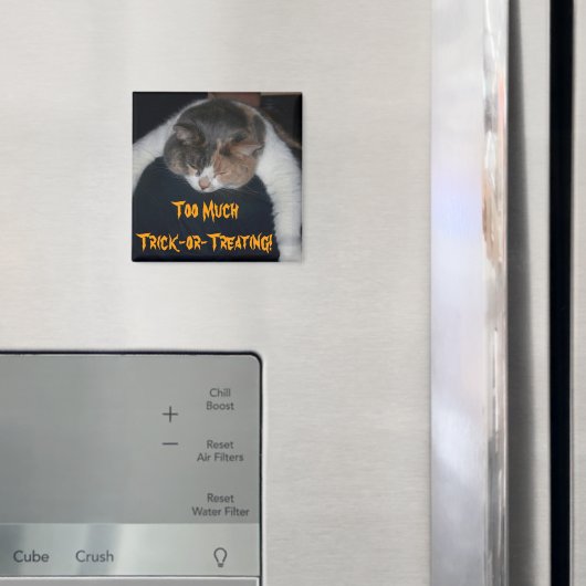 Aimant Trop de bêtises ou de traitements ! (In situ (réfrigérateur))