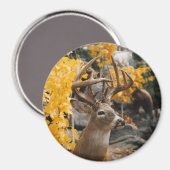 Aimant Trophée Deer (Recto/Verso)