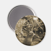 Aimant Trophée Deer (Recto/Verso)