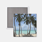 Aimant tropical (Recto/Verso)