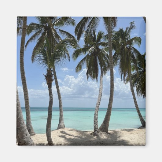 Aimant tropical (Devant)