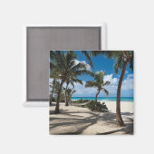 Aimant Tropical Beaches | Anguilla Beach, Palm Tree (Recto/Verso)