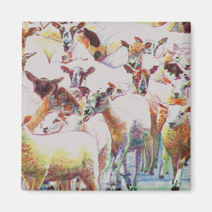 Aimant Troupeau 2011