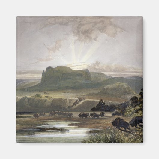 Aimant Troupeau de bison dans le Missouri supérieur, assi (Devant)