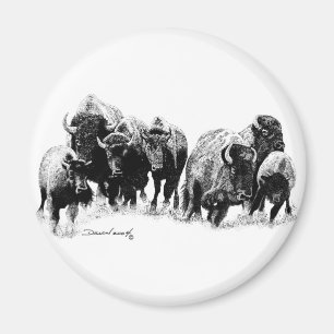 Aimant Troupeau de Buffalo