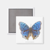 Aimant Truc rhadama (Recto/Verso)