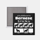 Aimant Trucs bernois (Recto/Verso)