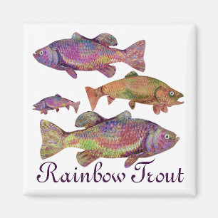 AIMANT TRUITE ARC-EN-CIEL COLORÉ