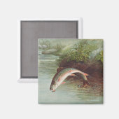 Aimant Truite de ruisseau Leaping par S.A. Kilbourne Pois (Recto/Verso)