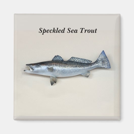 Aimant Truite mouchetée (Devant)