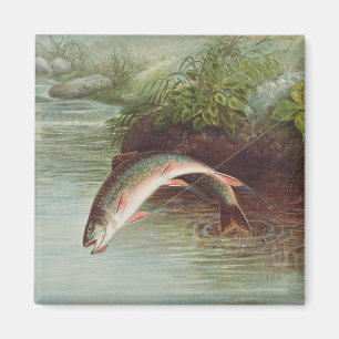 Aimant Truitelle de ruisseau sautant par S.A. Kilbourne P