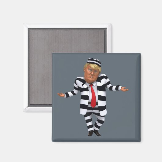 Aimant Trump en prison (Recto/Verso)